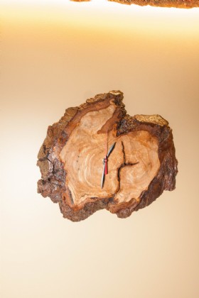 Live Edge Wall Art - 